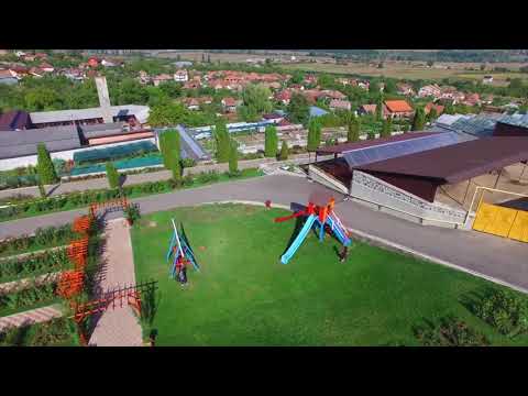 Micul Print și prima lecție de Botanică