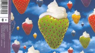 Lightning Seeds - Perfect (Acoustic Version)