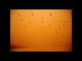 Gypsy Caravan - Dust Storm