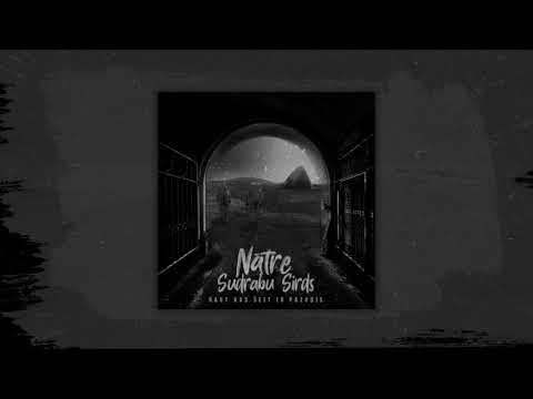 Nātre pied. Sudrabu Sirds - Kaut Kas Šeit Ir Pazudis (EP 'Atmoda')