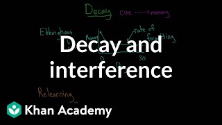 Decay and interference | Processing the Environment | MCAT | Khan Academy