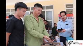 Tuyên Quang - Triển khai mô hình liên kết nuôi gà thả vườn | daga.live
