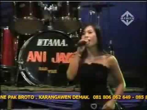 Dangdut Koplo Angkles Hot Acha Kumala - Untuk Siapa Pantura Live Musik Goyang Malu-malu