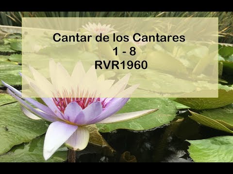 The Bible in a Year/Song of Solomon 1-8 (Audio, Lyrics) Day 194