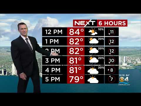NEXT Weather: Miami + South Florida Forecast - Monday Afternoon 1/23/23