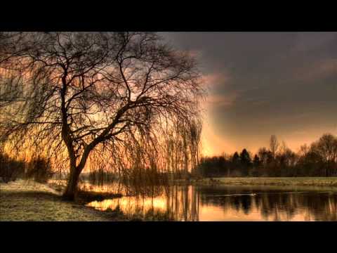 Sasha Feat. Krister Linder - Cut Me Down (Kastis Torrau, Donatello feat. Arnas D Remix)