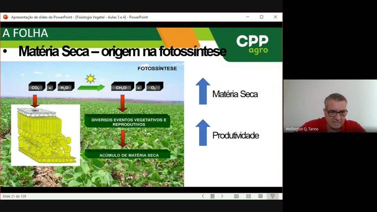 CPP - Fisiologia Vegetal - Aula 3
