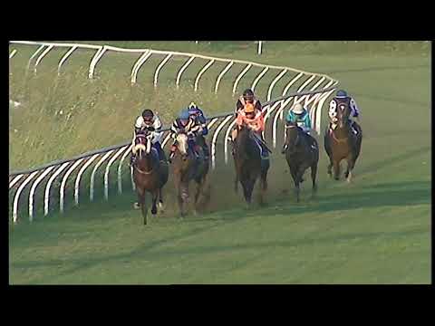 Napoli Galoppo 20/08/2021 - 2ª corsa