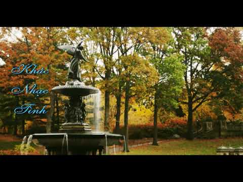 Khúc nhạc tình Sheet - Quang Minh