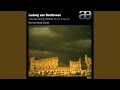 String Quartet No. 14 in C-Sharp Minor, Op. 131: III. Allegro moderato vivace - Brentano String Quartet - Topic String Quartet No. 14 in C-Sharp Minor, Op. 131: III. Allegro moderato vivace