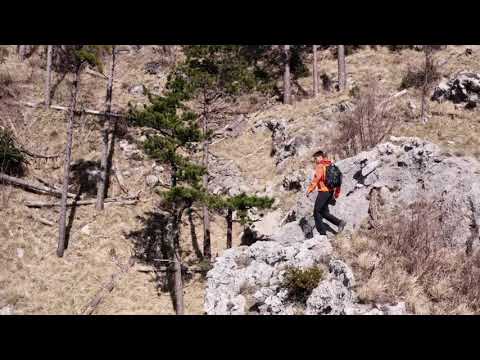 Reflective bagmotic backpack by Piquadro