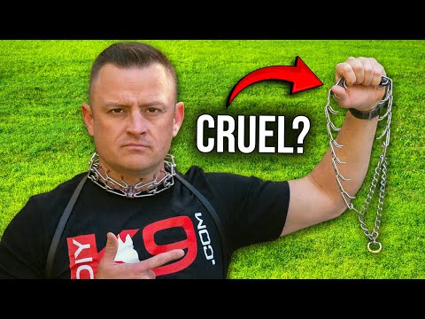 The TRUTH About Prong Collars (Sizes, Brands, Fit & Myths)