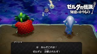 そこまでしてゼルダを倒したいのか【ゼルダの伝説 知恵のかりもの】#6