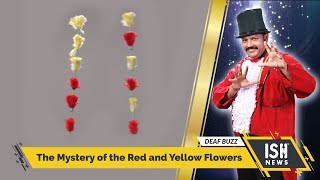 The Mystery of the Red and Yellow Flowers