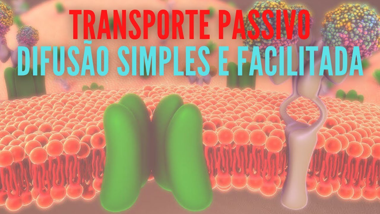 TRANSPORTE PASSIVO I DIFUSÃO SIMPLES E DIFUSÃO FACILITADA I APRENDI ENSINANDO