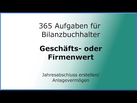 365 Aufgaben für Bilanzbuchhalter (010104) - Jahresabschluss erstellen - AV - immaterielle VG - GoF