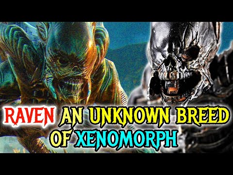 Raven Xenomoprh Origins - One Of The Most Dangerous, Disturbing & Distorted Xenomorph Mutation