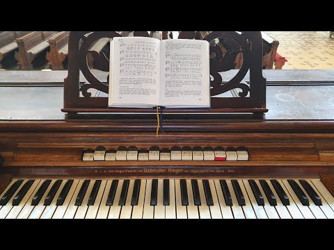 Variations on "Serafín se v úctě koří" (Czech Kancionál No. 517) - Dr Michał Szostak, improvisation
