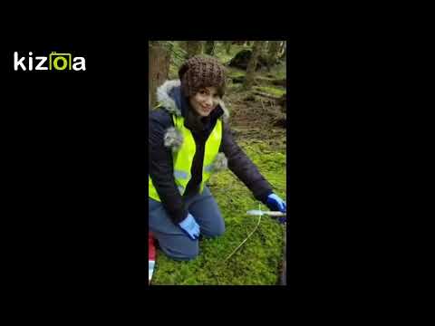 Mushrooming on the Oregon Coast: Lobster & Chanterelles