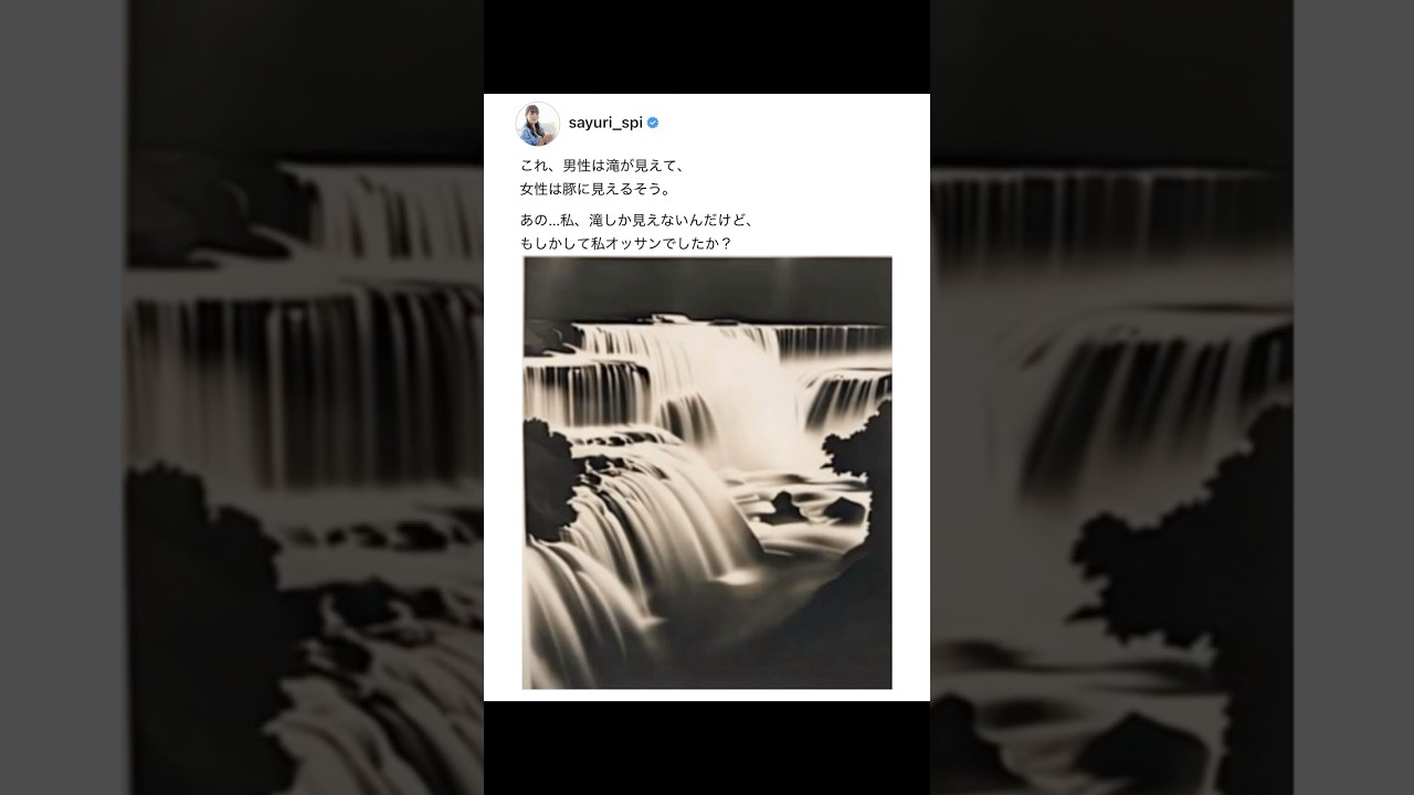 【滝・豚】あなたはどっちが見えますか？