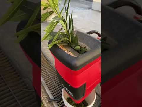 切った枝の処理方法 小中大の分別 火の庭の使用