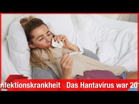 Blutdruck bei Prostatakrebs Badger Fett von Hypertonie