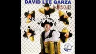 DAVID LEE GARZA Y LOS MUSICALES Para Ti.flv