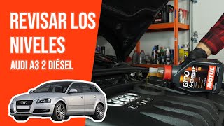 Youtube thumbnail of video "Revisar los niveles"