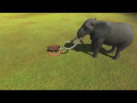 Explosive warthog vs every unit |Animal Revolt Battle Simulator