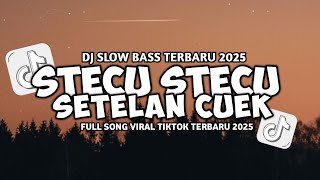 Download lagu DJ STECU STECU SETELAN CUEK BARU MALU SLOW VIRAL TIKTOK FULL SONG MAMAN FVNDY 2025 mp3 Download lagu DJ STECU STECU SETELAN CUEK BARU MALU SLOW VIRAL TIKTOK FULL SONG MAMAN FVNDY 2025 mp3