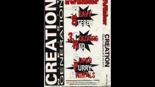 Creation Next Generation (Melody Maker) - 03 Super Furry Animals - Fuzzy Birds