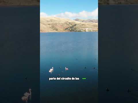 Laguna Pomacanchi #peru #cusco #vibrantperu