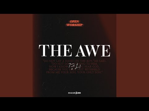 THE AWE (LIVE)