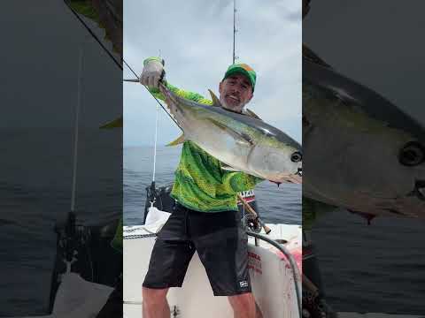 Tuna on the fly rod off Colombias wild coast at the Darien lodge #12wt #tunaonthefly