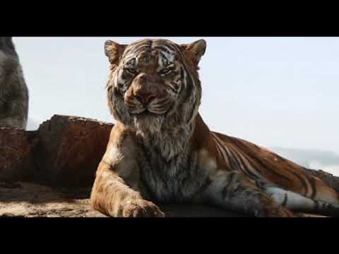 Aniket Sudhir Acharya SHERKHAN (dubbing practice)