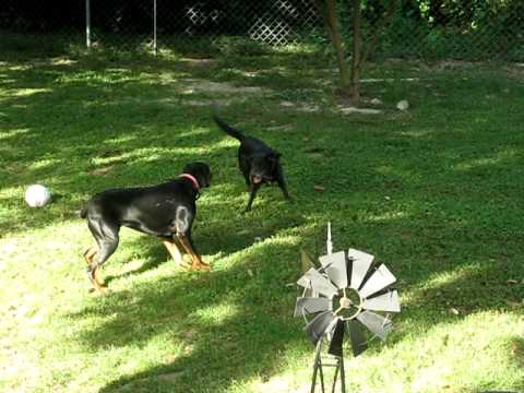 Tom and Sophie vs. Mina