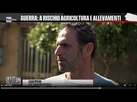 RAI3 Farwest - Guerra: a rischio agricoltura e allevamenti. Con Luigi Vitale (Cia)