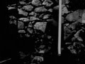 Amenra † De Dodenakker 