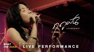 LANDOKMAI - ฤดูฝัน (Drizzle) [Opening Album Live Performance]