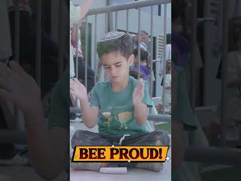 BEE-4-SAR Hype Video