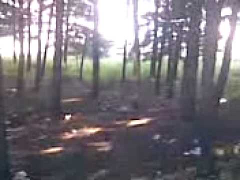 la caida del juan xD