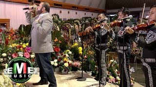 Beto Zapata - Eres mi primer amor (Serenata a la Virgen de Guadalupe)