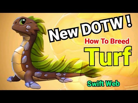 Turf Dragon | New DOTW! How to Breed Turf Dragon | Combination revealed | Dragon Mania Legends | Dml
