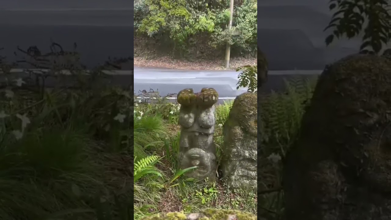 YouTube Short thumbnail