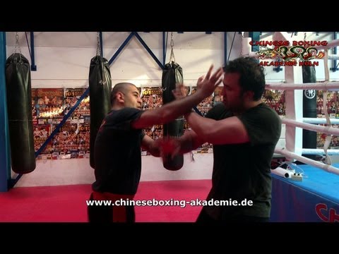 Chinese Boxing Training - Sifu Nihat Atamtürk