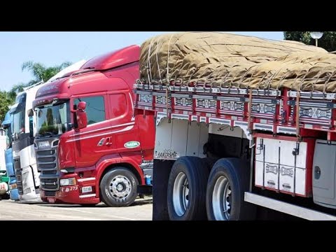 Sempre Acreditei No Meu Sonho!