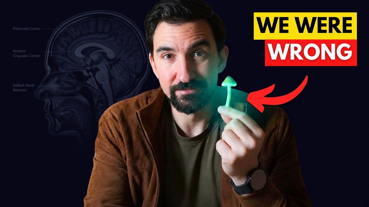 We FINALLY Understand the Power of Psychedelics (...mostly)
