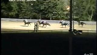 August 24, 2013, Race Under Saddle, Hanover Raceway