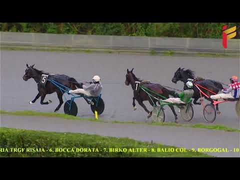 VI Corsa del 11 Dicembre 2021 - 4 Anni - Metri 2000/20/40 - Gara Centrale