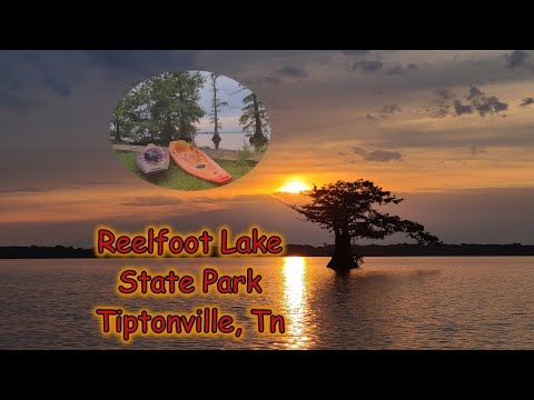 Reelfoot Lake State Park~~Tiptonville, Tn